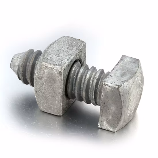 Stainless Steel Square Head Bolt with China Factory