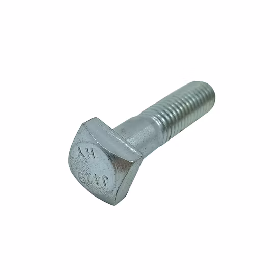 Customized Square Head Bolt for China Factoy