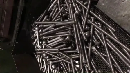 Carriage Bolt Mushroom Round Short Square Neck Head Bolt Coach Bolt Hex Bolt T Bolt U Bolt Toggle Bolt Anchor Bolt Screw Bolt Railway Bolts Lag Bolt in Stock